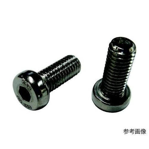 ローヘッド六角穴付きボルト SUS304