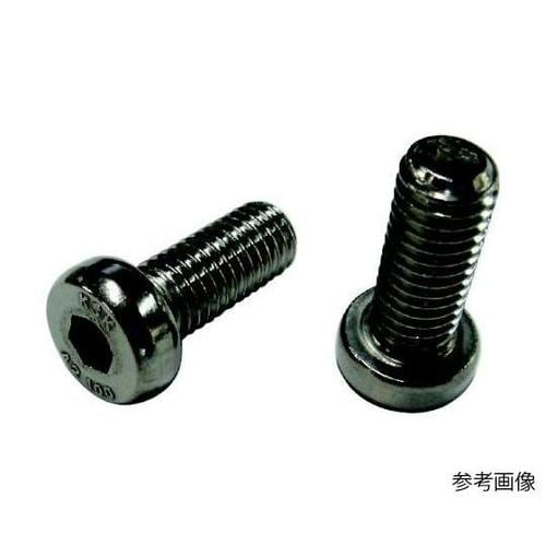 ローヘッド六角穴付きボルト SUS304