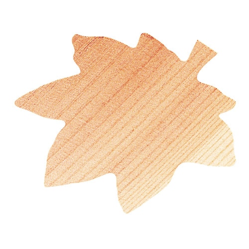 ウッドペーパー5枚セット