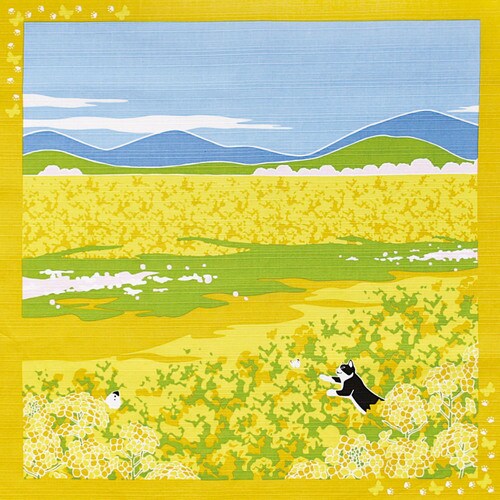 たまの散歩小風呂敷