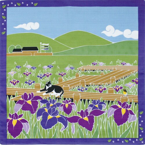 たまの散歩小風呂敷