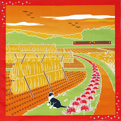 たまの散歩小風呂敷