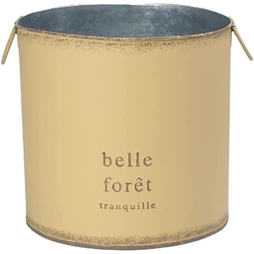 ハウスプランツブリキ