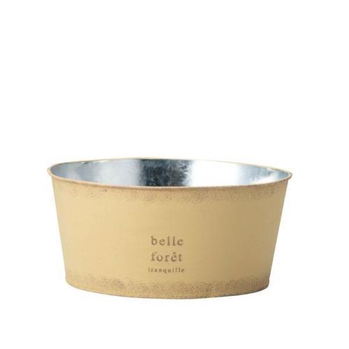 ハウスプランツブリキ