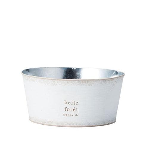 ハウスプランツブリキ