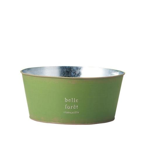 ハウスプランツブリキ