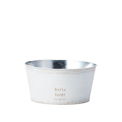 ハウスプランツブリキ