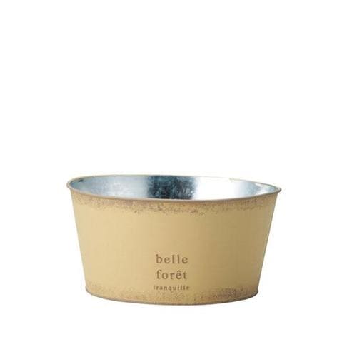 ハウスプランツブリキ