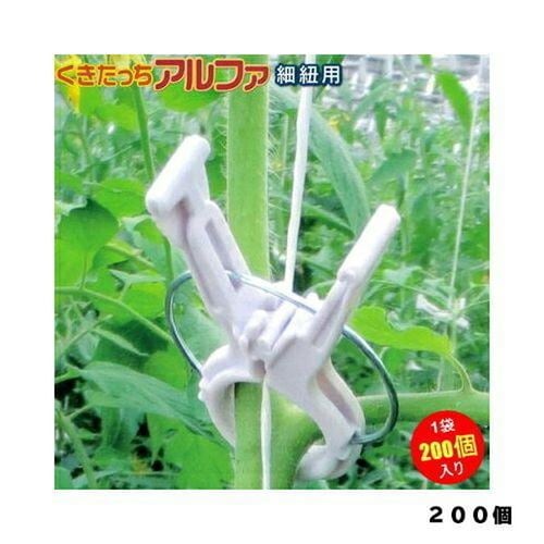 くきたっちアルファ