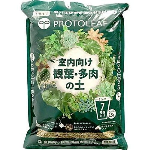 室内向け観葉多肉の土