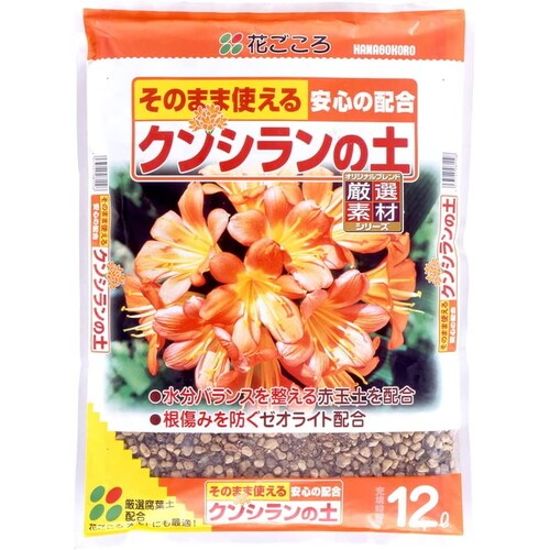 クンシランの土