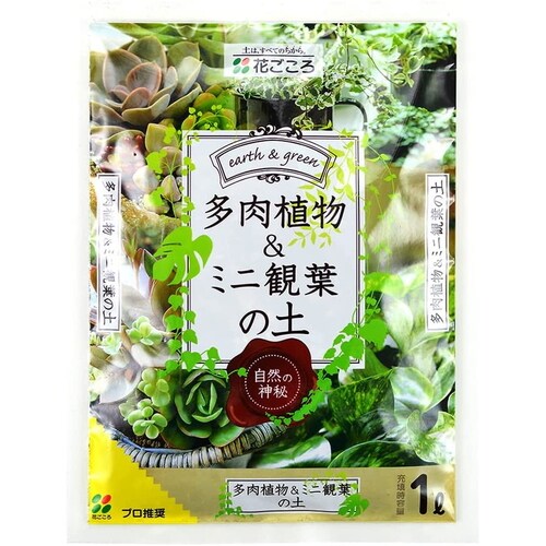 多肉植物ミニ観葉の土