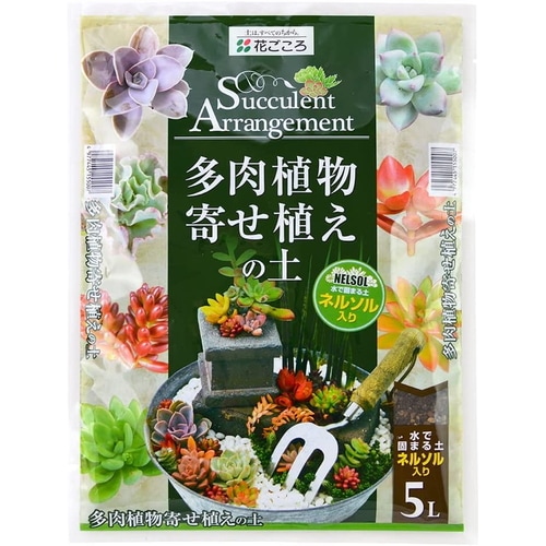 多肉植物寄せ植えの土
