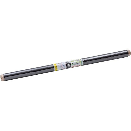 穴き玉ねぎ黒マルチ