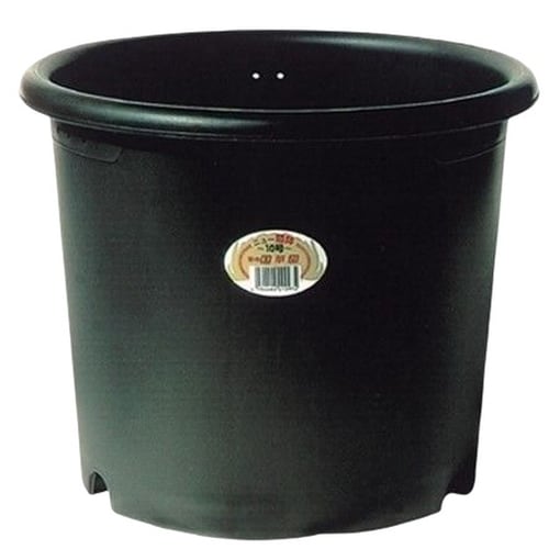 国華園 ニュー菊鉢 黒 5号