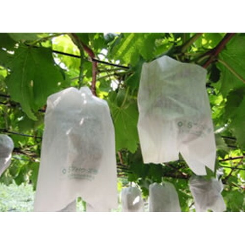 ぶどう用果実袋