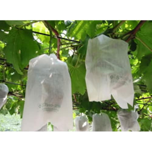 ぶどう用果実袋