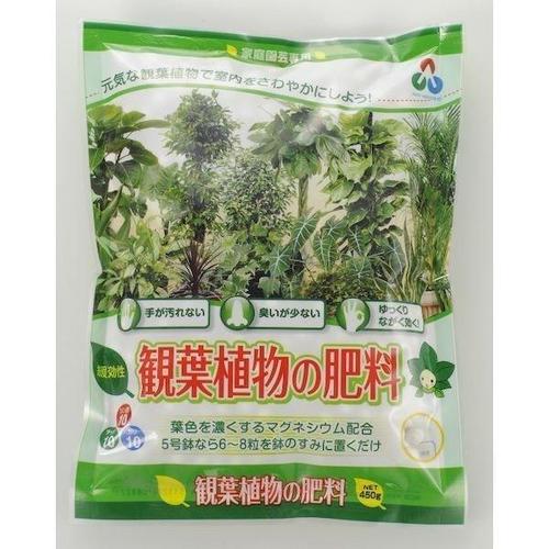 観葉植物の肥料