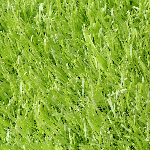 ビビッドターフ