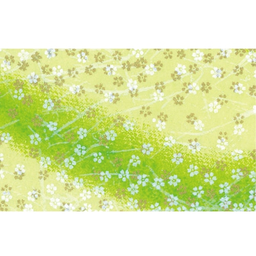 友禅和紙 全判 花嵐・若葉 2セット
