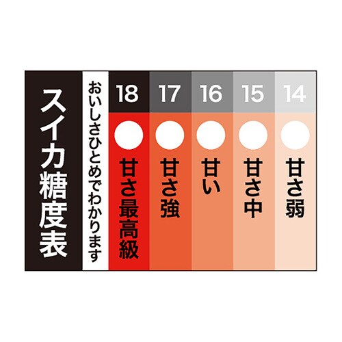 食品表示ラベル シール スイカ糖度表 5セット