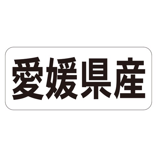 鮮魚ラベル シール 愛媛県産ヨコ 3セット