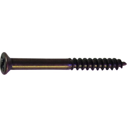 ダイドーハント HP ミニビス ブロンズ 2X30