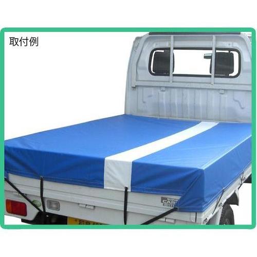 ラインターポリンシート ブルー&ホワイト