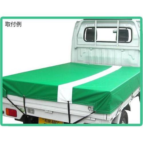 ラインターポリンシート グリーンホワイト