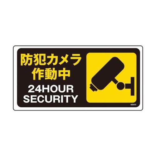 1146120381マンガ標識GEM81