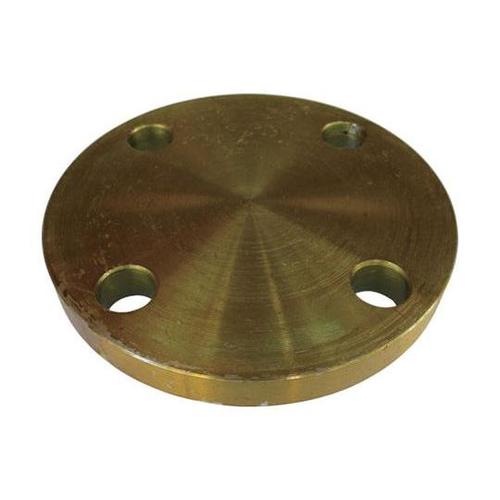 10BLF20AフランジFF型SS400