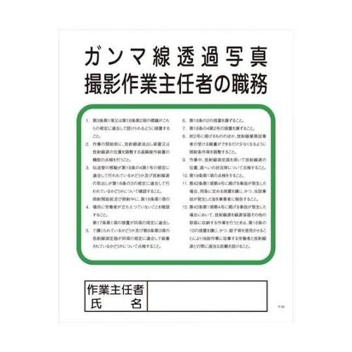 1145110128 ガンマ線透過写真