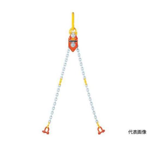 CE10000 チェーンエコライザー