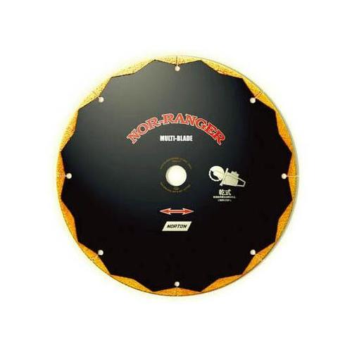 22101251002 ノルレンジャー