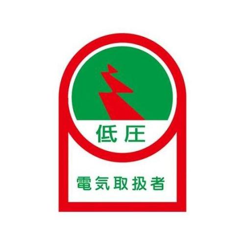 35x25mm ヘルメットステッカー(電