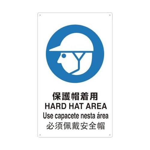 4ヶ国語 JIS安全標識 保護帽着用 T
