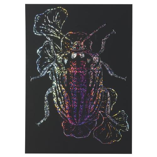 ホログラムスクラッチボード100×150mm