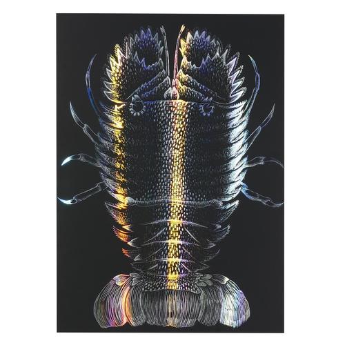 ホログラムスクラッチボード2150×200mm