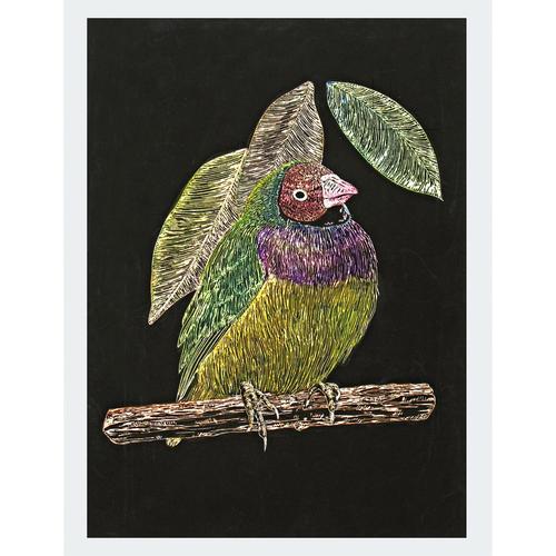 スクラッチボードEXスクレーパー