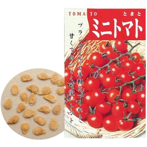 野菜の種ミニトマト