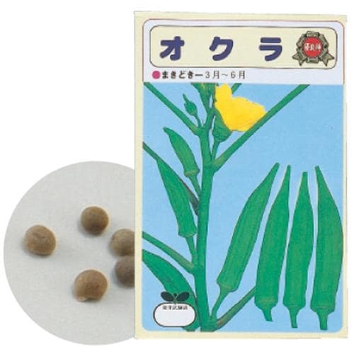 野菜の種オクラ