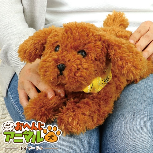 よんで!だっこして!おへんじアニマルトイプードル