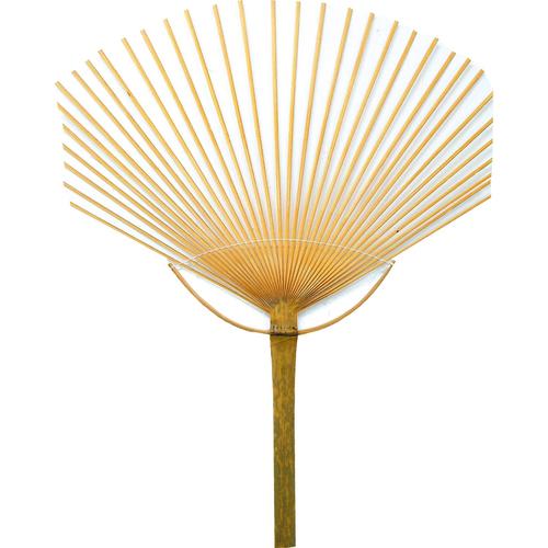 うちわ骨のみA(竹製)