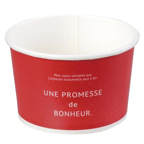 アイスクリームカップ10個組