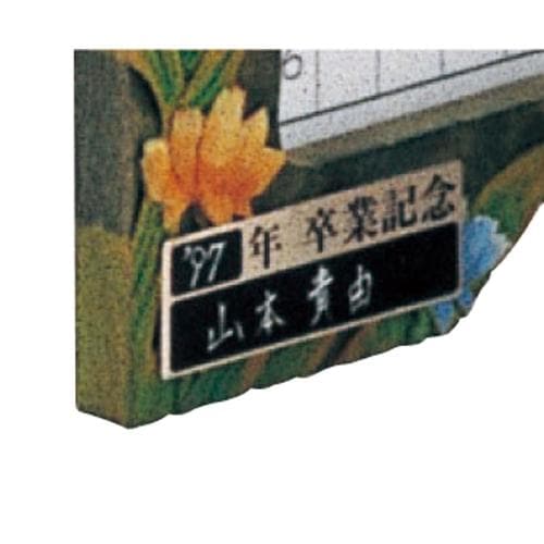 卒業記念プレート(10枚組)アルミ製