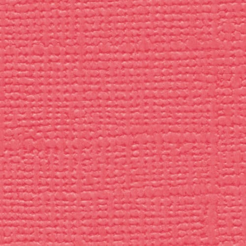 包装紙 Eカラー レッド 10セット