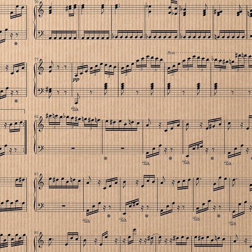 包装紙 スコア クラフト 10セット