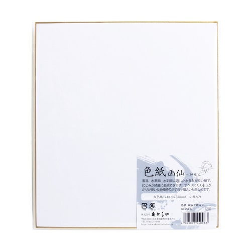 色紙 画仙 2枚入 10セット
