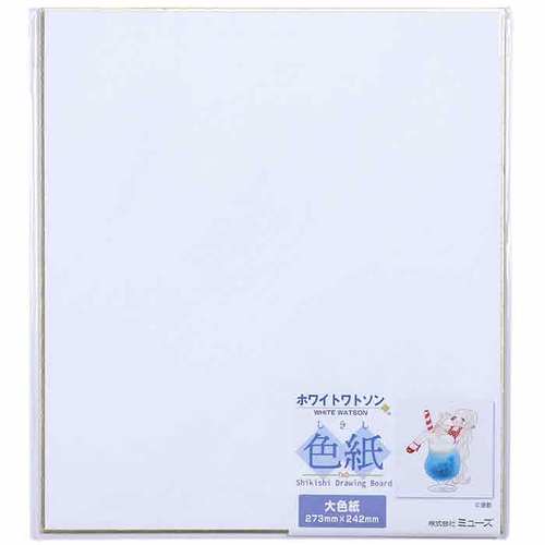 色紙パック 大色紙 ホワイトワトソン 10セット