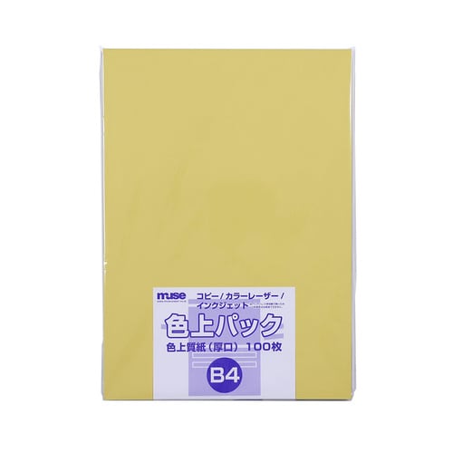 色上質紙 厚口 B4 100枚入濃クリーム2セット